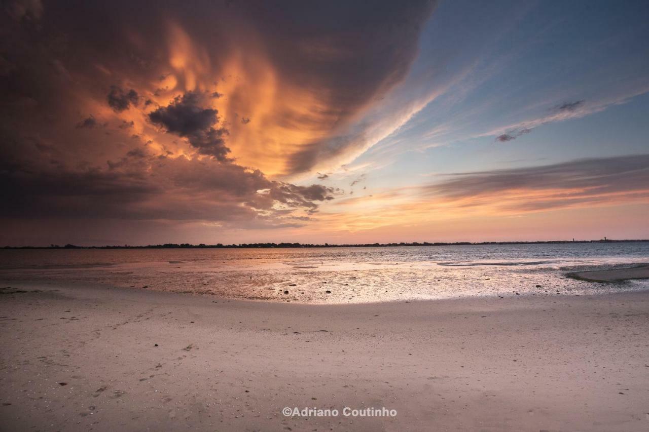 Casa Dos Flamingos Villa Murtosa ภายนอก รูปภาพ